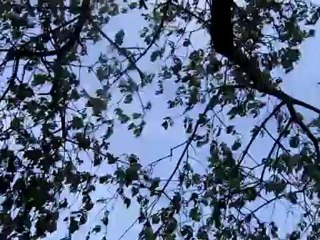 A1-A2 Unter blauem Himmel Hörtext