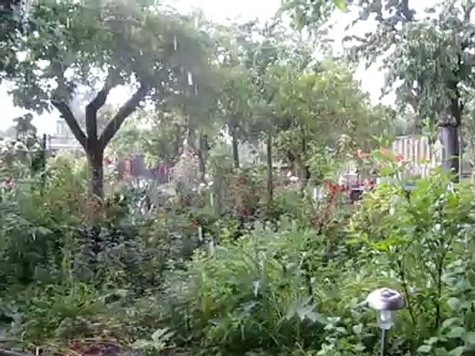 A1-A2 Hörtext Endlich Regen