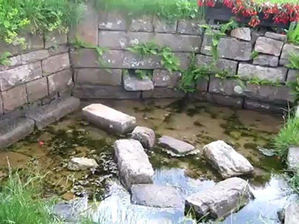 A2-B2 indirekte Rede Enzquelle Hörtext Rob