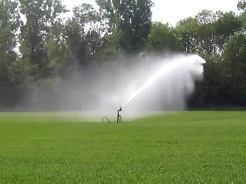 A2-B2-DSH Vorbereitung Rasen gesprengt oder gesprenkelt Hörtext