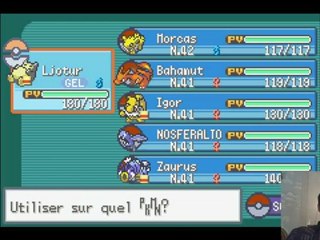 nuzlock challenge vert feuille spéciale n° 2 artikodin