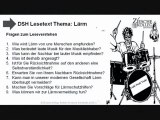 DSH-Vorbereitung Fragen zum Lesetext Lärm