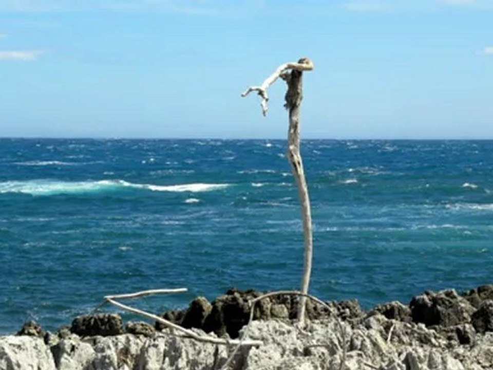 Cap d'Antibes