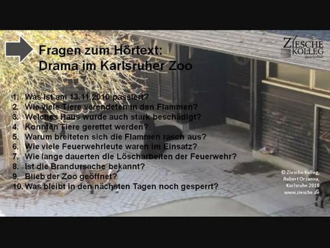 B2 Fragen zum Hörtext Drama im Karlsruher Zoo