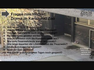 B2 Fragen zum Hörtext Drama im Karlsruher Zoo