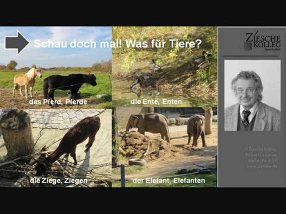 E1 Einführungskurs Was für Tiere 01
