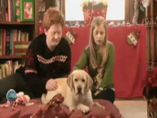 Le sauveur de noël - Trailer