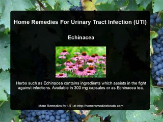 Home Remedies For UTI