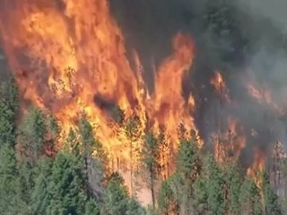 Enormes feux de forêt dans l'ouest des Etats-Unis