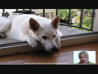 E1 - A1 Hörtext Unser Ben