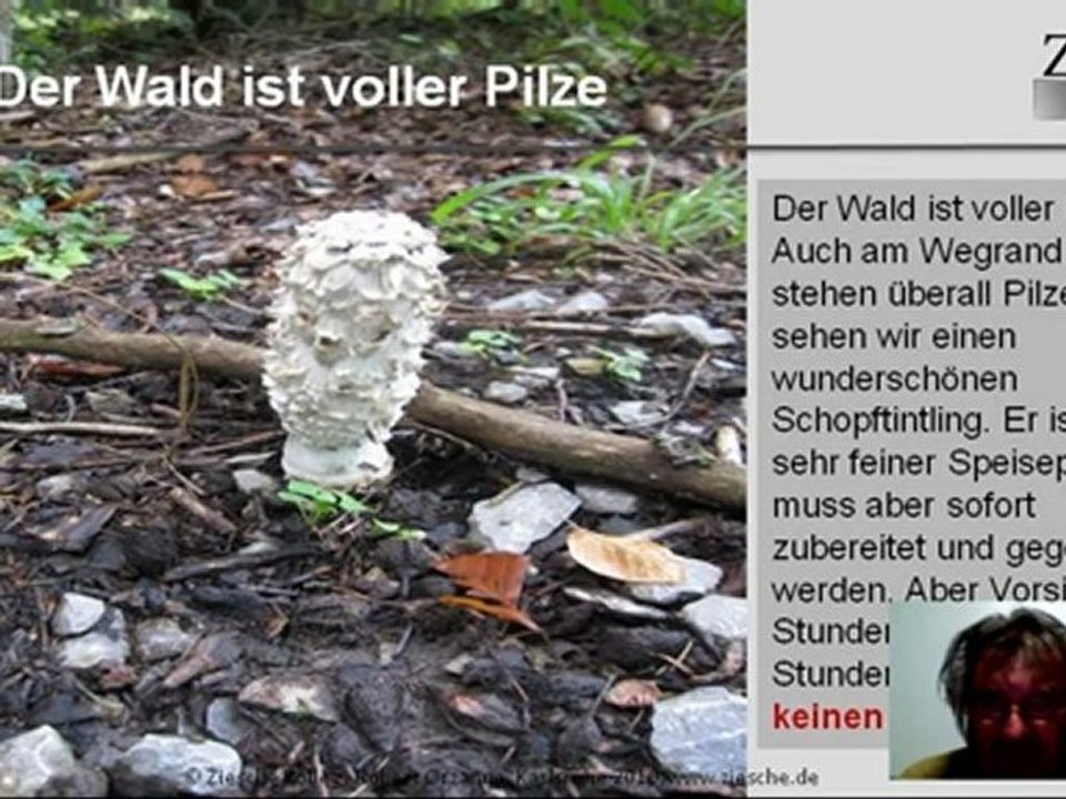 A1 2 Tageswanderung am Ziesche Kolleg Teil 1