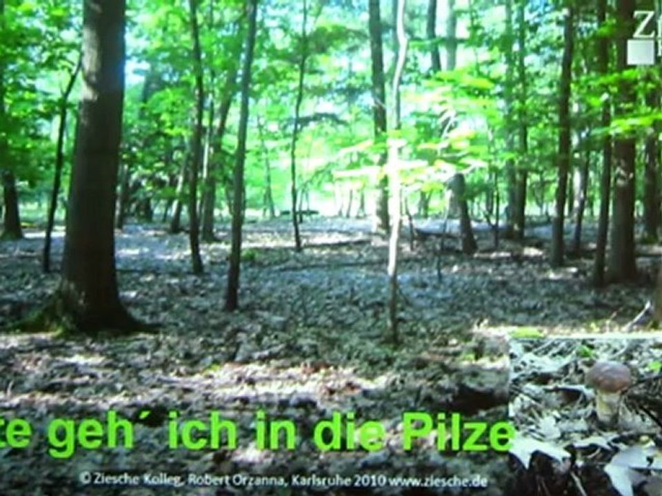 A1-2 Hörtext Konversation Thema 'Pilzsuche'