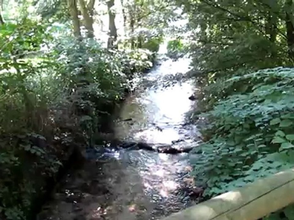 A1 Hörtext A1 Auf Albbrücke