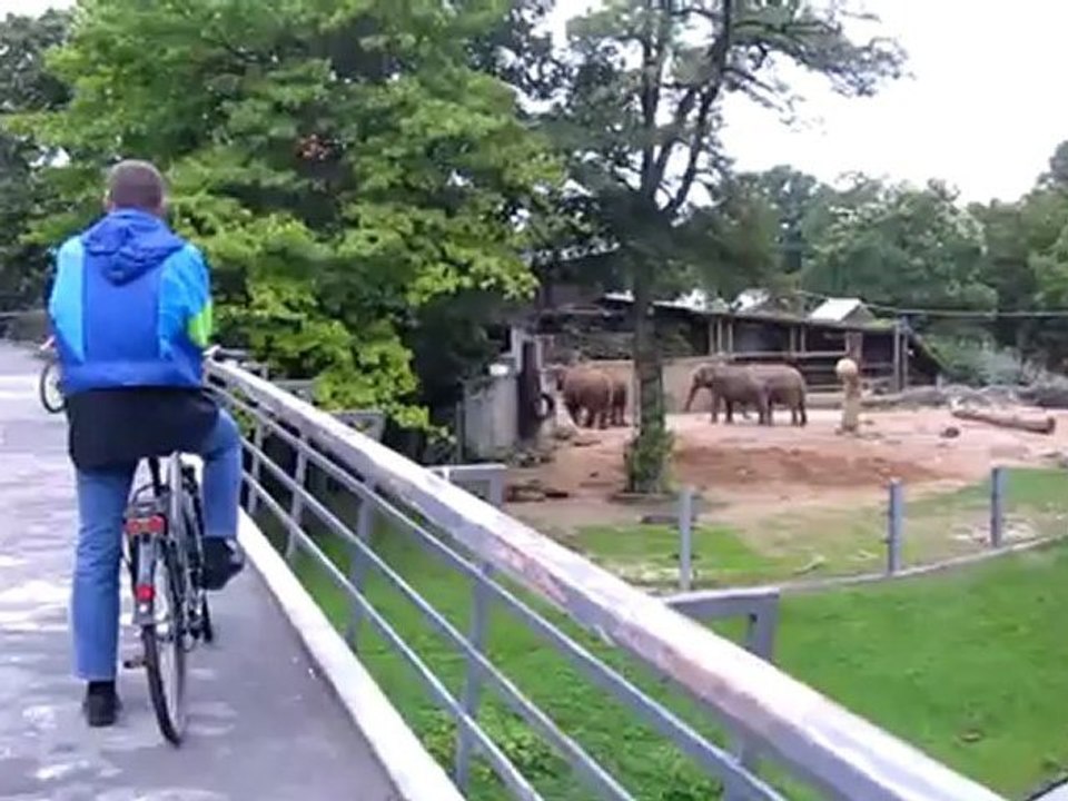 A2 Textproduktion A2 Zoologischer Garten