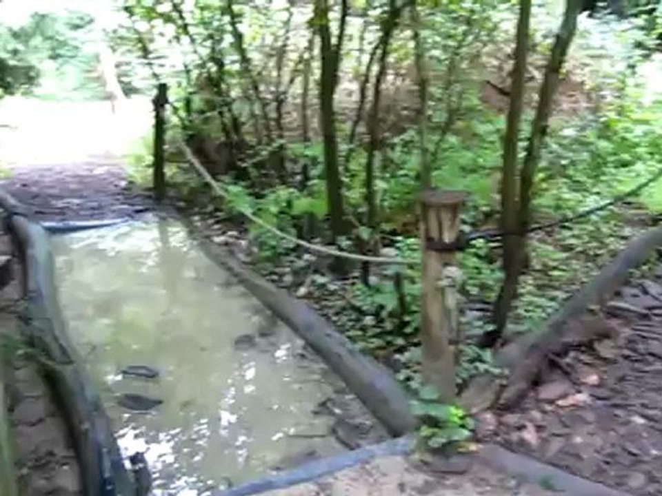 A2 Hörtext Barfußpfad im Waldklassenzimmer