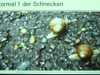 A1 Hörtext A1 Formel 1 der Schnecken