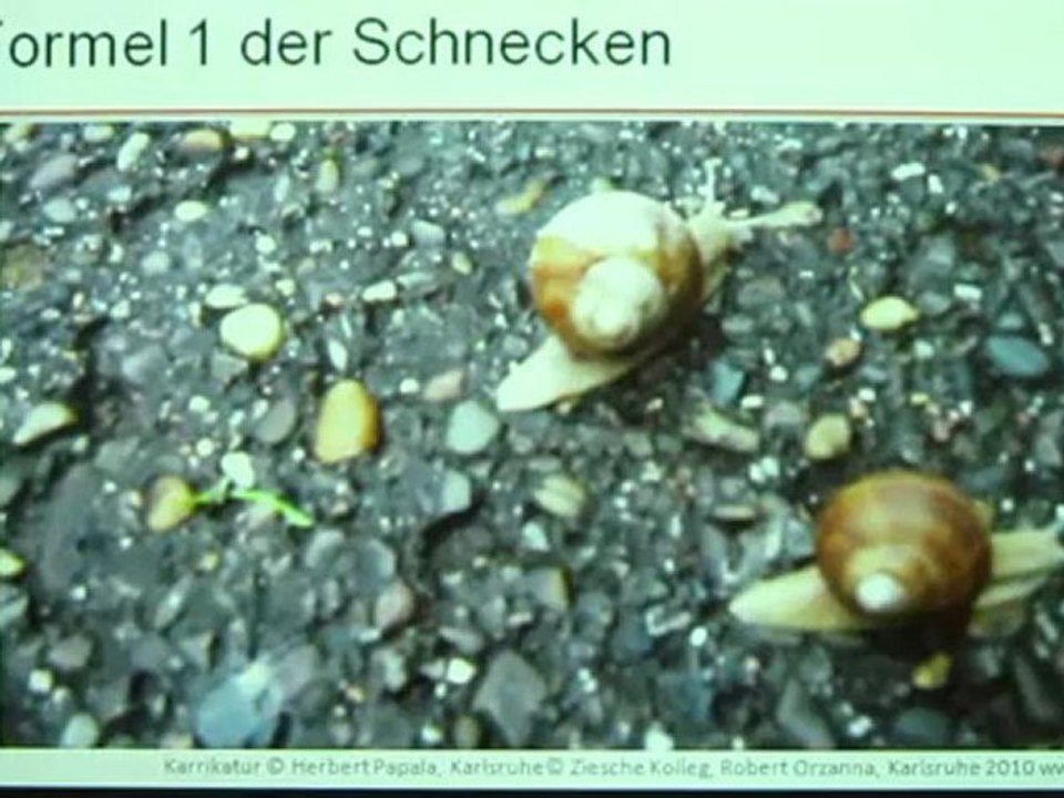 A1 Hörtext A1 Formel 1 der Schnecken