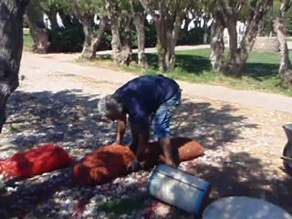 3ο παιδικό φεστιβάλ Αγιου Νικολάου : Η συνεχεια 1