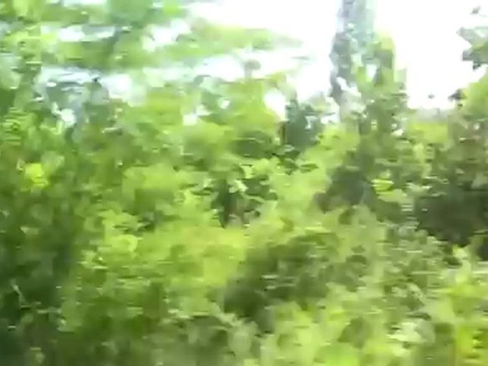 A1 Lesetext A1 RE aus Neustadt a.d. Weinstraße am Rhein über Rheinbrücke