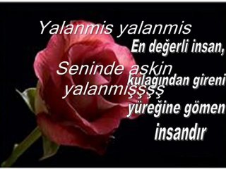 yakup ekin yalanmış yorumsuz