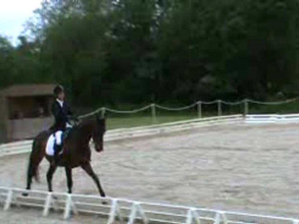 dress fontenay Royal