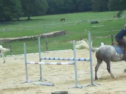 cso :p avec owen du gaudoux et son cavalier florian . 1m15