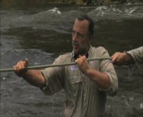 LA PLUS GRANDE FORET DU MONDE EN 3D