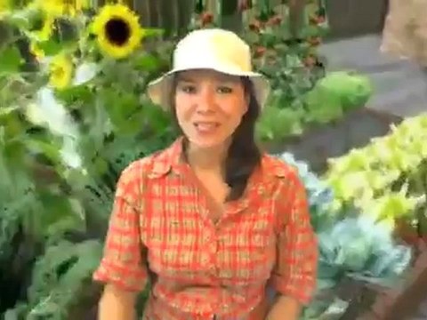 Ceramic Dogwood Bird Bath / Cream & Pink & Stake/ Handcrafted on Sturdy Wrought-iron Stake Birdbath