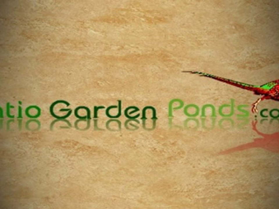 Bird bath Display Box, Birdbath & Stake Review