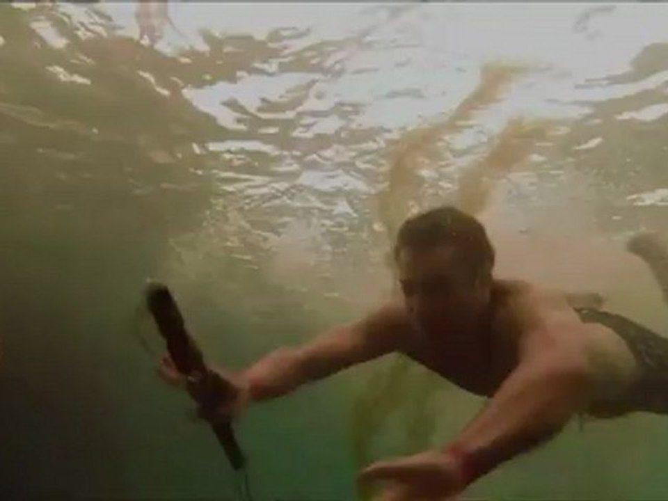 Shark Night 3D - Clip Caged In