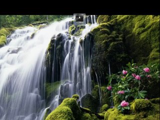 Skyrim's Dawnguard  Beta Serial keys