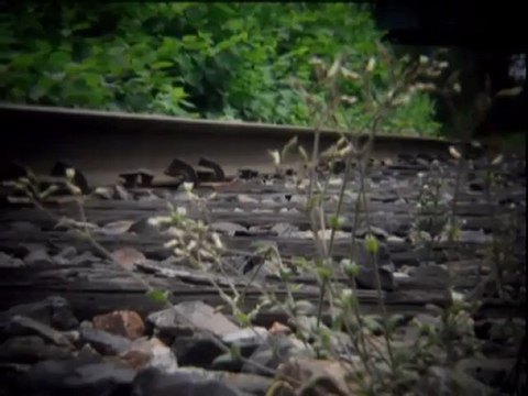 Lentille Holga 60mm pour réflex numérique par Jean-François Dupuis