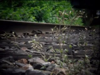 Lentille Holga 60mm pour réflex numérique par Jean-François Dupuis