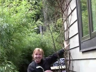 June 13/12 Senga's Vlog - Space Saving Fruiting Plants