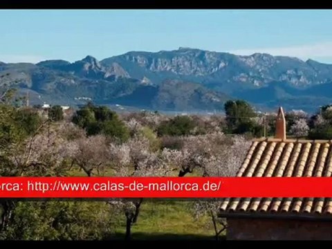 Ferienhaus / Finca Mallorca TKH865