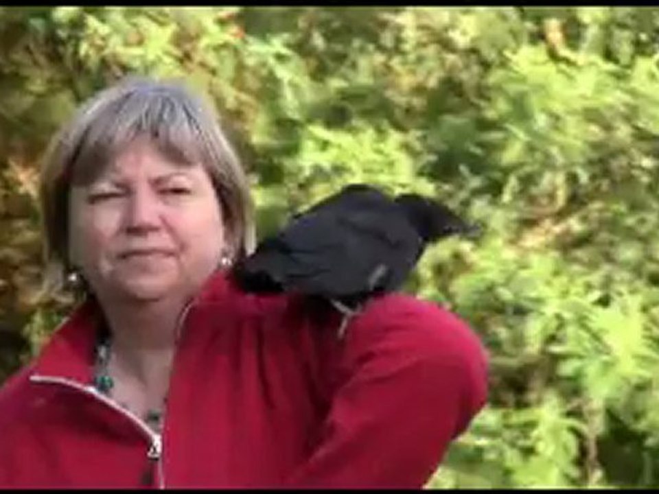 fredo le corbeau