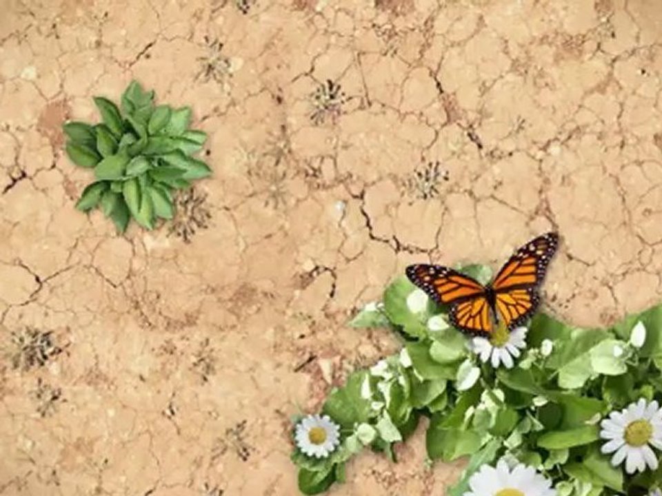 Ask Cheap Psychic Medium or Phychic a Question