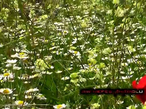 Bir Nefes Anadolu Sarıyahşi Kısım 4 (Yönetmen) Eren Taylan