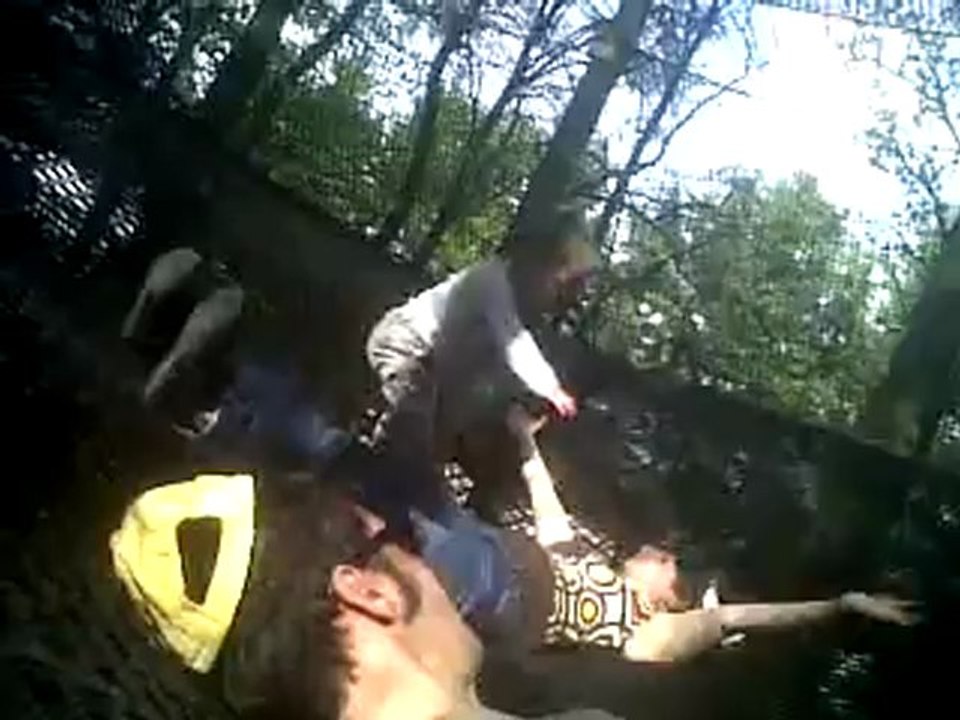 zoo