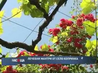 Али Шуган изчиства подсъзнанието от болест и магия