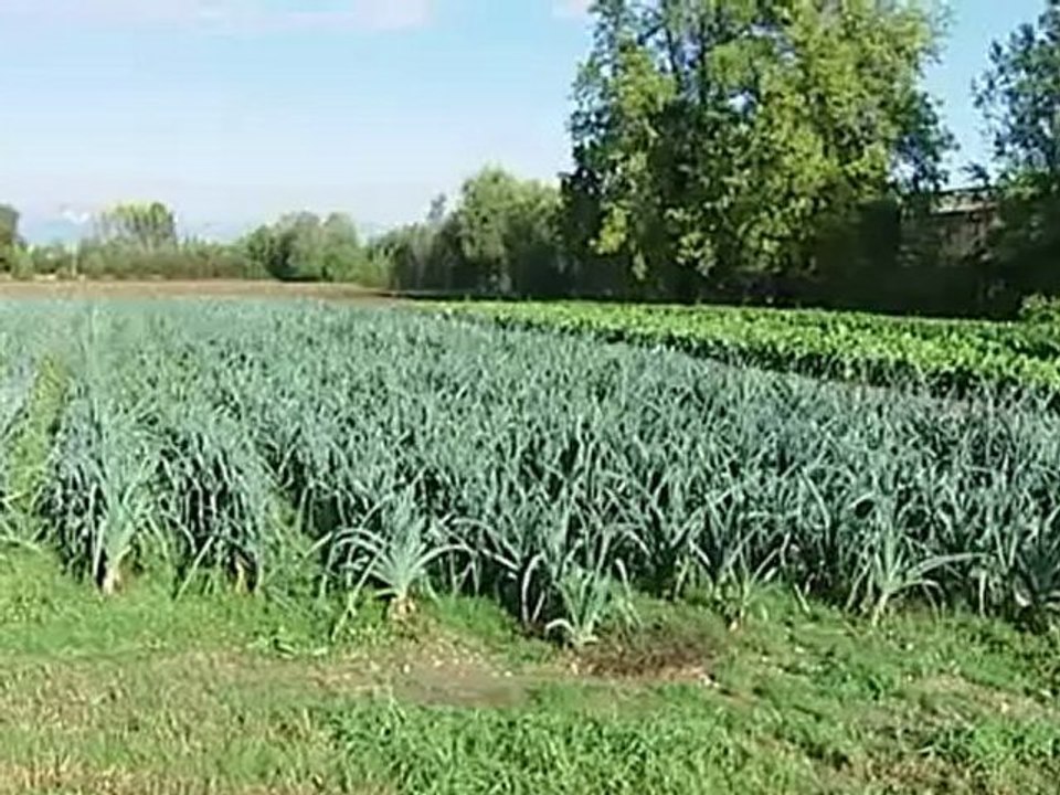 imu agricoltori preoccupati