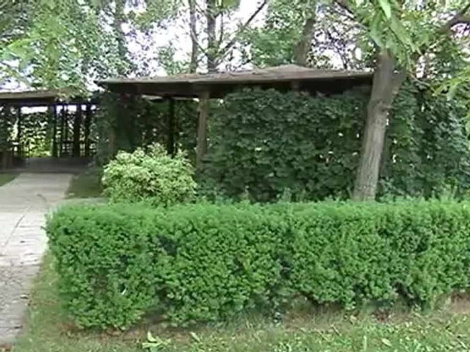 ristoratore pestato e rapinato