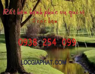 Cung cấp giấy dán tường tại quận 1,2,3 call 0938 254 099