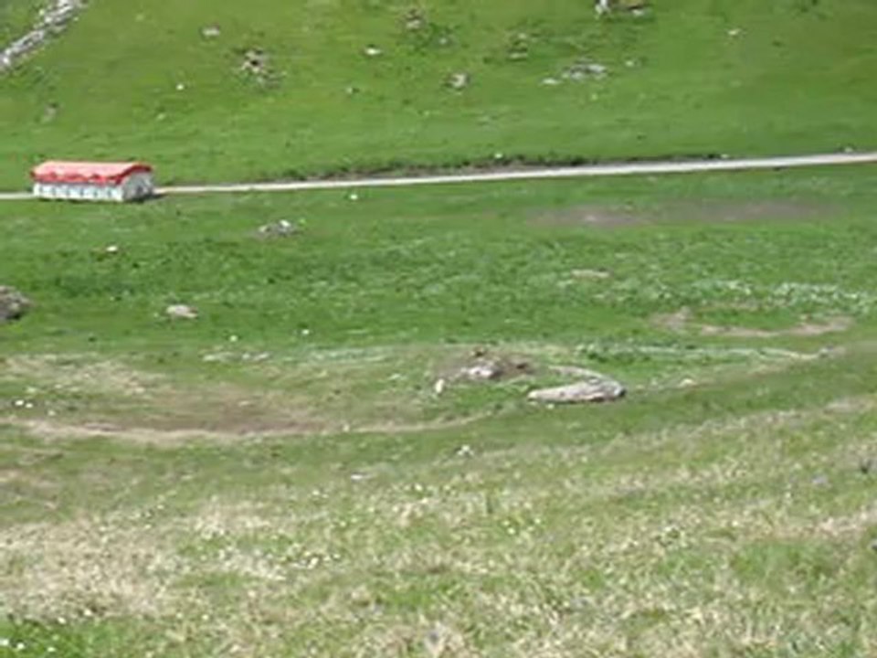 randojeanzayvalcenis (4)