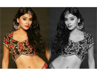 South Siren Shriya Saran To Do Item Number In Bollywood - Hot News