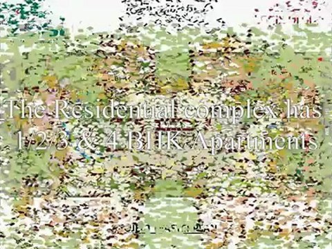 Logix Zest Blossom Zest