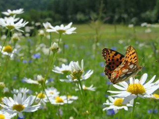 Branddesign Bad Vilbel BRANDICTION - bringing brands to life