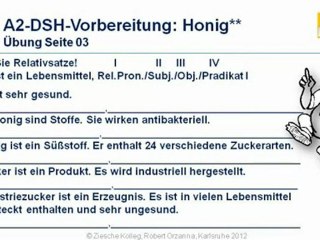 A2-DSH-Vorbereitung Relativsatz Üb. 03 Honig statt Industrie