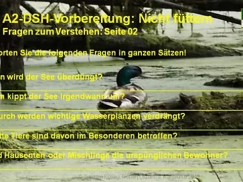 A2-DSH-Vorbereitung Fragen S. 02 Bitte nicht füttern