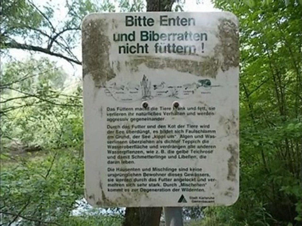 A2-B1-DSH-Vorbereitung Kap.16 Leseverstehen Bitte nicht füttern